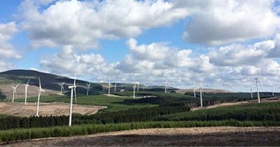 Dumfries and Galloway campaign group fear windfarm developers "running rings around" planning officials to get taller turbines