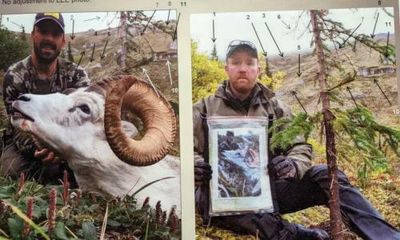 US hunter fined after trophy photo proves he shot sheep in Canada