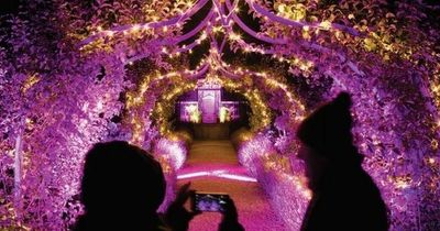Luminate 'light up' trail coming to Walton Hall Gardens a short drive from Liverpool