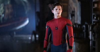 Spider-Man star Tom Holland was training to be a carpenter in Cardiff just before his Avengers role