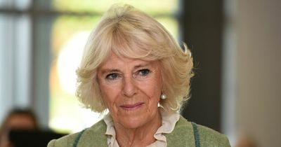 Camilla 'not so popular' abroad and has 'ghost of Diana' hanging over her, says expert