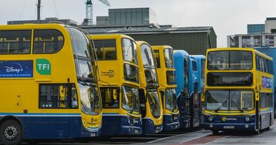 Dublin Bus route on hold as vehicle too big to fit through Phoenix Park gate in 'embarrassing' development