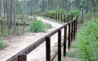 Man-elephant conflict: ₹100 crore for rail barricades