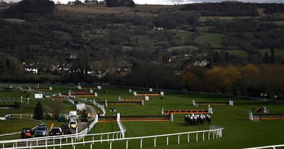 Weatherbys Cheltenham Festival guide that shortlisted 28/1 and 12/1 winners last year on sale for 2022