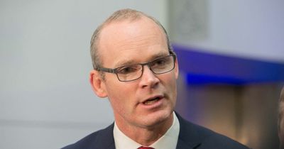 Simon Coveney says Ukraine nuclear power plant attack is a 'reckless act' and Russia war is 'to get worse'