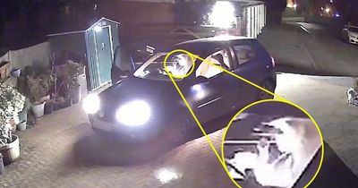 Family 'disgusted' as CCTV reveals Just Eat driver 'tucking into their takeaway' on driveway
