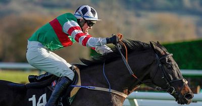 Cheltenham Festival 2022 news: Michael Winters' stable star Chatham Street Lad ruled out of meeting