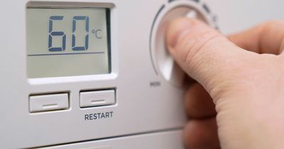 Households urged to turn down thermostats by 1°C to help defeat Russia