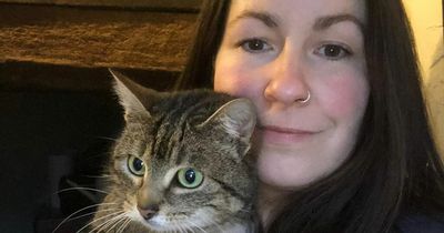 Woman's shock after pet cat returns home with shotgun wound causing amputation