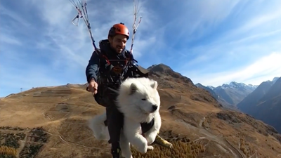 Wind In His Fur, High Altitudes? This Paragliding Dog Doesn’t Care