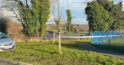 Boy, 4, dies after falling into canal and being pulled from water by emergency services