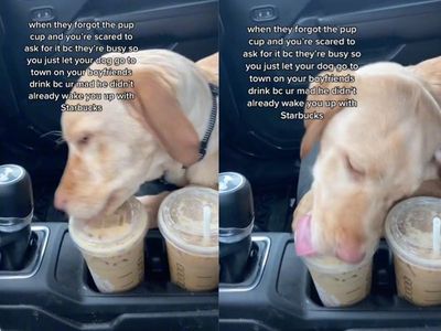 Woman sparks backlash after allowing dog to lick boyfriend’s Starbucks drink because barista forgot pup cup
