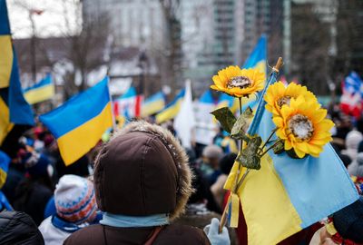 How sunflowers became a protest symbol