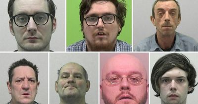 Caught out: Nine sex offenders uncovered by undercover officers and vigilantes
