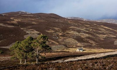Corporate tree-planting drive in Scotland ‘risks widening rural inequality’