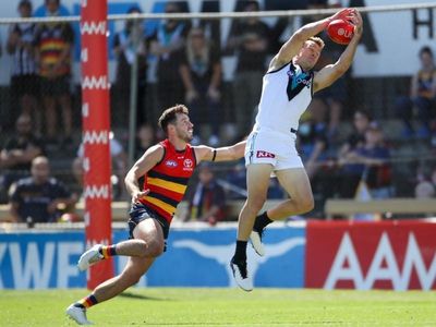 Gray, Laird hurt in Adelaide AFL hit-out