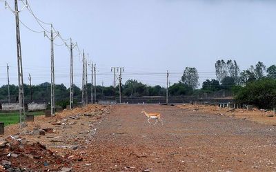 Gujarat acts tough against land mafia