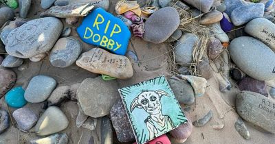 Harry Potter: What Dobby's grave at Freshwater West looks like today