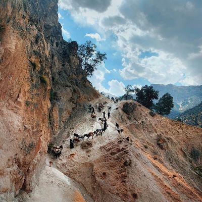 ‘The nomads brought me in like a daughter’: Emily Garthwaite’s best phone picture