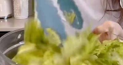 Crisp lovers puzzled over recipe for 'lettuce chips' - as it's literally just salad