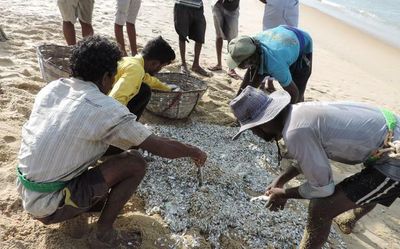 Sri Lankan Tamil fishermen urge Chief Minister Stalin to come up with a progressive solution to conflict