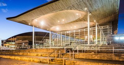 Poll shows people back increasing the number of MSs in the Senedd