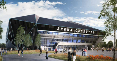Concerns raised about cost of Cardiff's planned £187m indoor area
