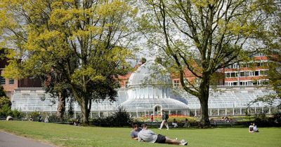 Belfast Beer Festival move to Botanic Gardens raised at City Hall