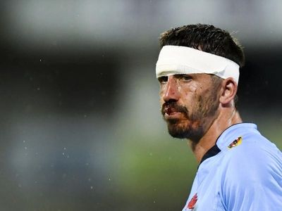 Waratahs continue to build despite loss
