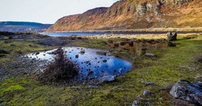 Environmentalist George Monbiot calls treasured Welsh landscape 'a dead zone' devoid of life