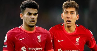 Liverpool new boy Luis Diaz already meeting Roberto Firmino's "great expectations"