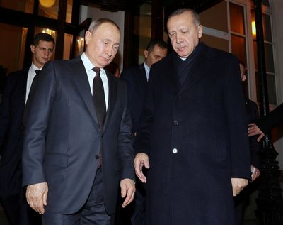 Erdogan urges Putin to declare Ukraine ceasefire, make peace