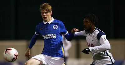 Manchester United agree terms to sign Brighton midfielder Toby Collyer