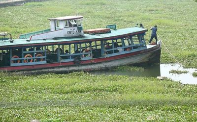 Weeds hitting smooth movement of boats in Kottayam