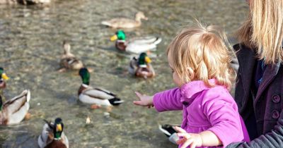 Woman 'treated like a criminal' and given huge fine after feeding ducks