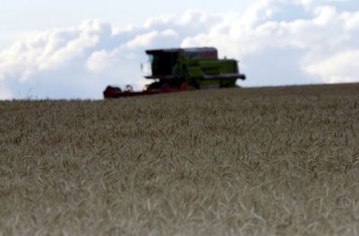 Irish farmers will ‘step up’ to challenge of growing more grain, says minister