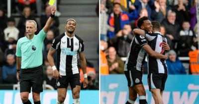 Joelinton clash and Murphy's relief - Newcastle moments you might have missed from Brighton win