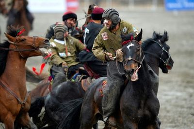 Not for the faint-hearted, Taliban embrace buzkashi in new Afghanistan