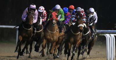 Newsboy's racing tips and nap for Monday's meetings at Southwell, Wetherby and Wolverhampton