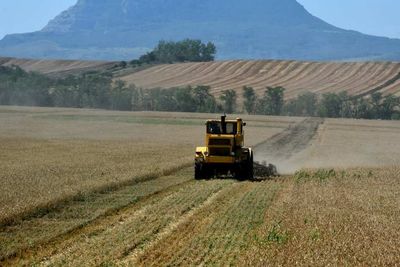 Oil and wheat price surges likely to hit consumers