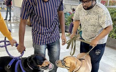 Pet challenges for T.N. officials in Delhi