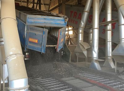 Ukraine introduces export licences for key agricultural commodities