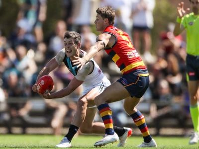 Adelaide's Crouch feared for AFL career