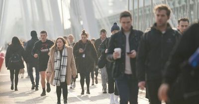 UK employment recovers to pre-pandemic levels for first time, says research