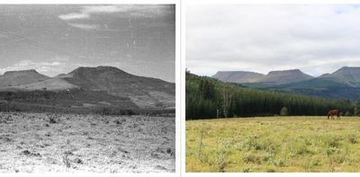Repeat photos show change in southern African landscapes: a citizen science project