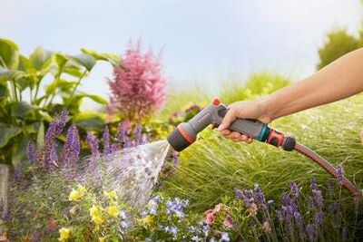 Best garden hoses 2024: From expandable to wall mounted reel style hosepipes
