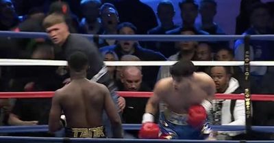 Deji vs Alex Wassabi ring invader explains prank which stopped boxing fight