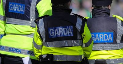 Garda checkpoints Ireland: Officers issue crucial tip for driving after speedsters caught thanks to strange condition