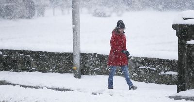 Weather experts predict 20cm of snow in DAYS - exact areas affected, including Midlands