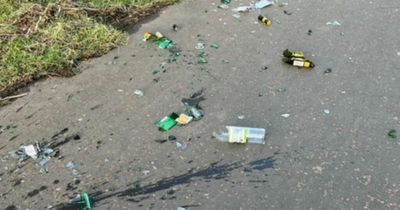 Falkirk woodland 'not safe for kids and dogs' as yobs smash bottles on path